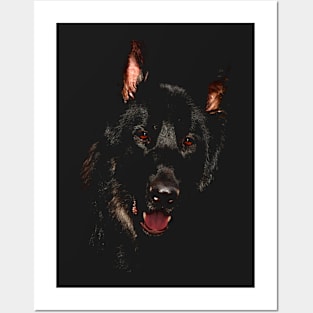 german shepherd, black shirt Posters and Art